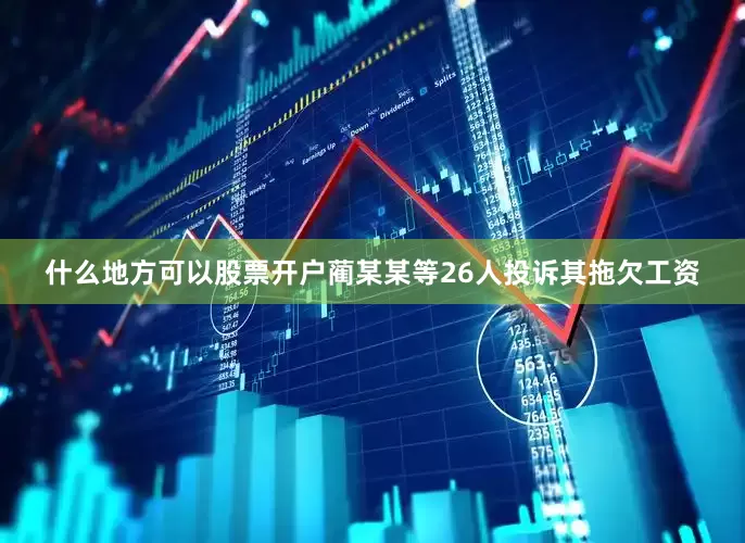 什么地方可以股票开户蔺某某等26人投诉其拖欠工资
