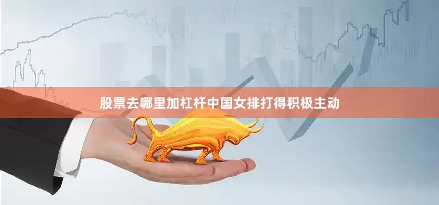 股票去哪里加杠杆中国女排打得积极主动