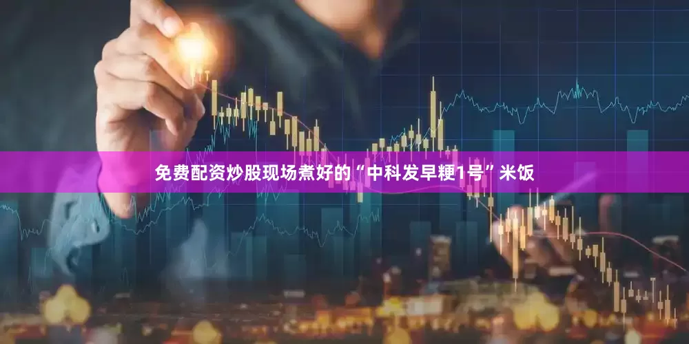 免费配资炒股现场煮好的“中科发早粳1号”米饭