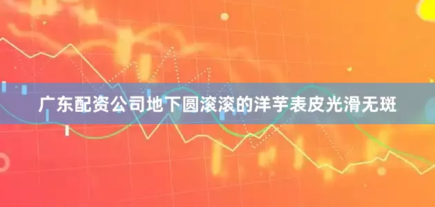 广东配资公司地下圆滚滚的洋芋表皮光滑无斑