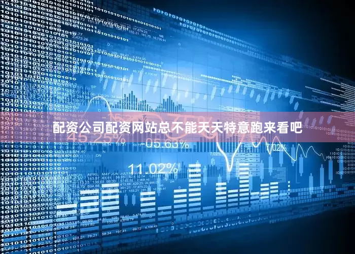 配资公司配资网站总不能天天特意跑来看吧
