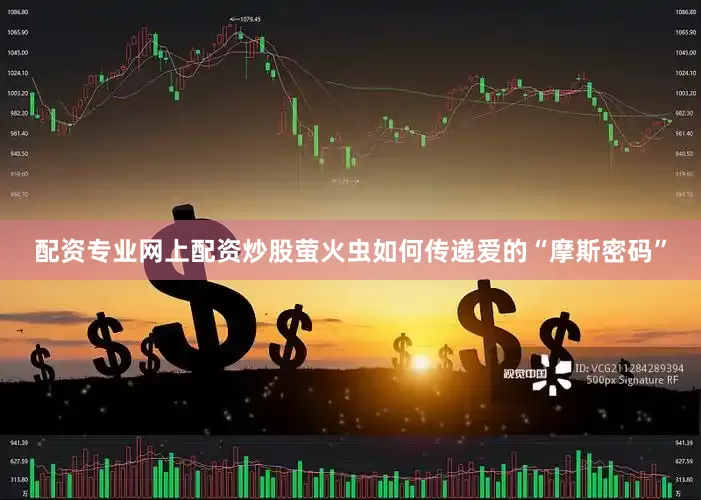 配资专业网上配资炒股萤火虫如何传递爱的“摩斯密码”