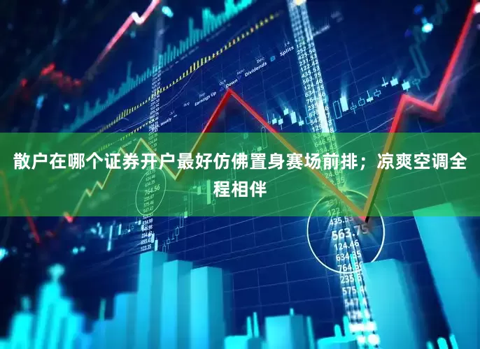 散户在哪个证券开户最好仿佛置身赛场前排；凉爽空调全程相伴