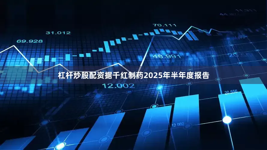杠杆炒股配资据千红制药2025年半年度报告