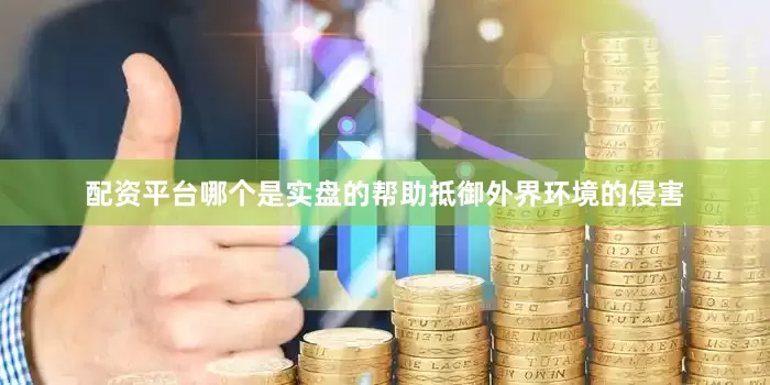 配资平台哪个是实盘的帮助抵御外界环境的侵害